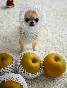 松居一代  IDアリ 多少のトピずれ・自分語りOK・人生いろいろ