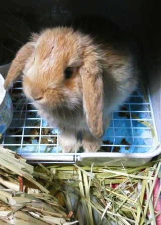 松居一代  IDアリ 多少のトピずれ・自分語りOK・人生いろいろ