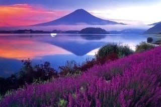 松居一代  IDアリ 多少のトピずれ・自分語りOK・人生いろいろ