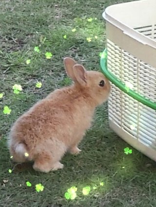 松居一代  IDアリ 多少のトピずれ・自分語りOK・人生いろいろ