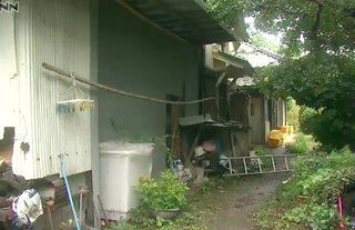 ハチ襲撃で車いす女性死亡　50分間救出できず、愛媛