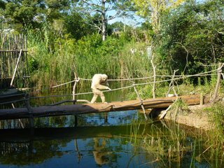 松居一代  IDアリ 多少のトピずれ・自分語りOK・人生いろいろ