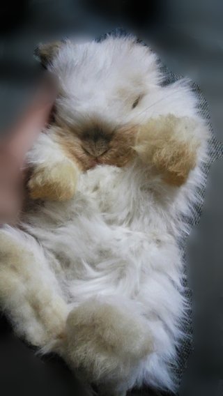 松居一代  IDアリ 多少のトピずれ・自分語りOK・人生いろいろ