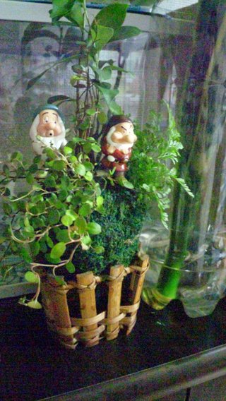 松居一代  IDアリ 多少のトピずれ・自分語りOK・人生いろいろ