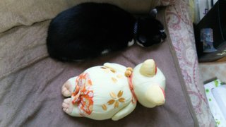 松居一代  IDアリ 多少のトピずれ・自分語りOK・人生いろいろ