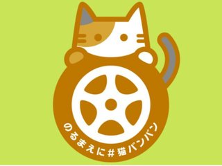 猫バンバンの季節です