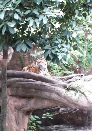 松居一代  IDアリ 多少のトピずれ・自分語りOK・人生いろいろ