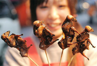 オカメインコ雛お迎えしたー(´∀｀*)ｳﾌﾌ 