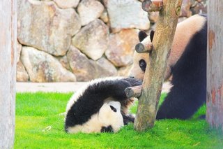 松居一代  IDアリ 多少のトピずれ・自分語りOK・人生いろいろ