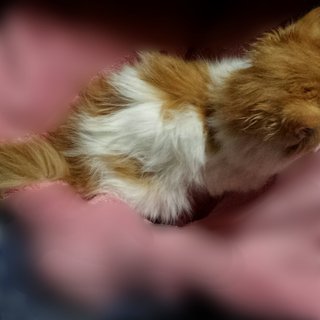 松居一代  IDアリ 多少のトピずれ・自分語りOK・人生いろいろ