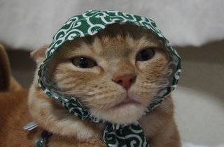 思わず二度見した物（人）ある？