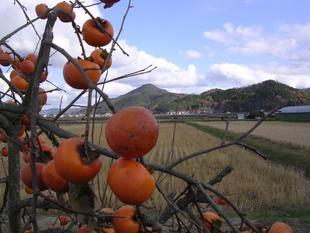 松居一代  IDアリ 多少のトピずれ・自分語りOK・人生いろいろ