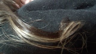 髪染め強要  高校生不登校 大阪府を提訴