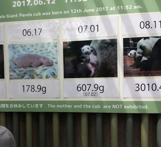 松居一代  IDアリ 多少のトピずれ・自分語りOK・人生いろいろ