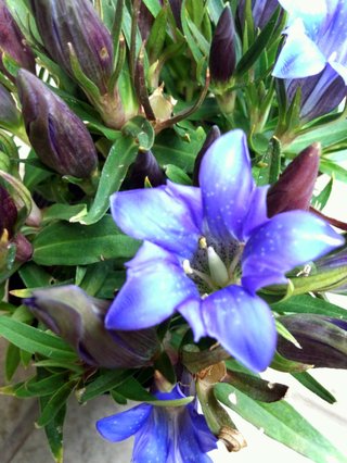 松居一代  IDアリ 多少のトピずれ・自分語りOK・人生いろいろ