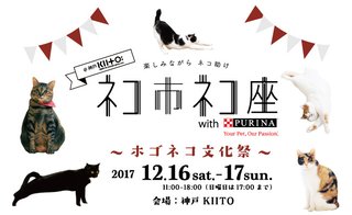 猫について何でもどうぞ【ねこ総合】