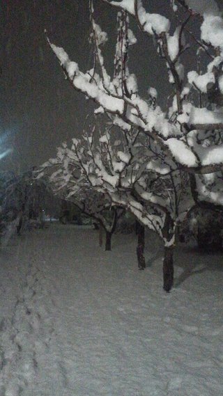 オバスタ☆”【ババアはここ集合な】