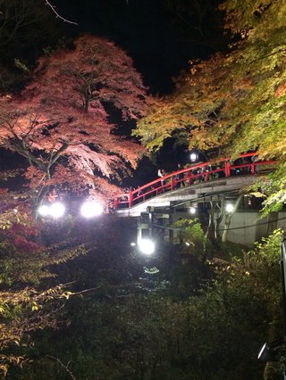 群馬県【総合】