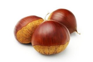 【モニタリング】TBS