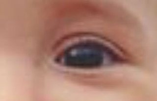 自分の子供が他人の子より可愛いと自覚してる人