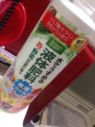 水耕栽培してますが、育ちません。