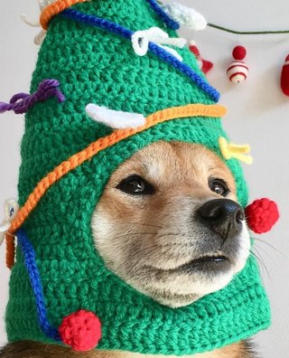 オバスタ☆”【ババアはここ集合な】