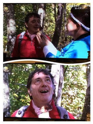 世界の果てまでｲｯﾃＱ