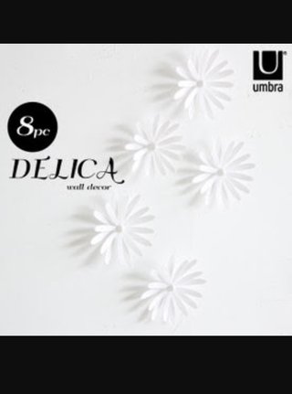 奥様は取り扱い注意見てた人！綾瀬はるか夫婦の家