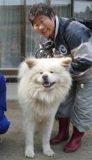 ぶさかわ犬「わさお」の飼い主の菊谷さん死去