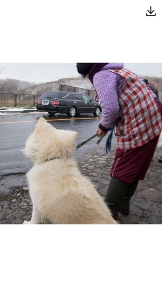 ぶさかわ犬「わさお」の飼い主の菊谷さん死去