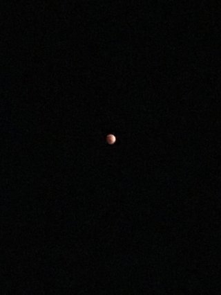 1月31日は皆既月食だって！