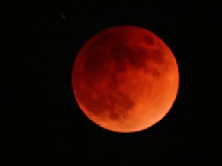 もう少しで皆既月食始まるね