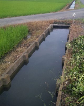 用水路に乳児遺体＝茨城