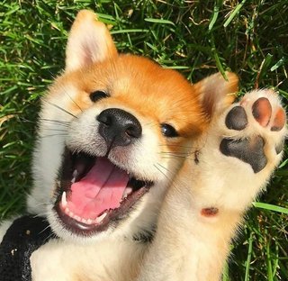 オバスタ☆”【ババアはここ集合な】