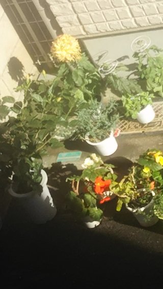 ご近所さんに言えない苦情を書き込むトピ