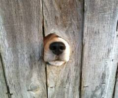 オバスタ☆”【ババアはここ集合な】