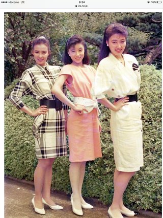 貴乃花親方の奥さん若いときかわいすぎ!!!