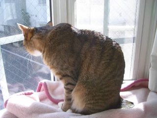 レス禁止 独り言