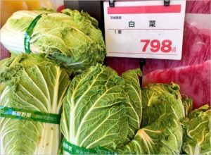 さすがに白菜は調子に乗りすぎ