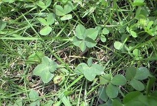 レス禁止 独り言