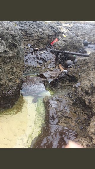 【過去最悪】中国沖でタンカー油流出　日本沿岸の環境汚染は深刻　鈍い政府、報道しないメディア