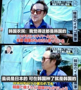 平昌五輪で発露した「日韓イチゴ事情」の深刻さ　韓国のイチゴの9割以上が日本から不法流出