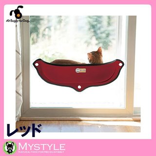 猫について何でもどうぞ【ねこ総合】