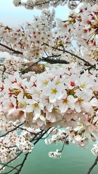 【総合】うつ病【ｳﾂ、ﾊﾟﾆ他、心療内科系】