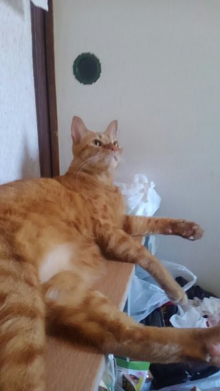 生活保護受けてます。アドバイスください