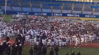 稲村亜美「中学生に襲われる」異様な光景......リトル野球大会始球式で「怖すぎる」事態に


