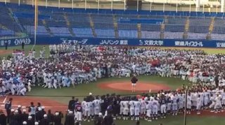 稲村亜美「中学生に襲われる」異様な光景......リトル野球大会始球式で「怖すぎる」事態に


