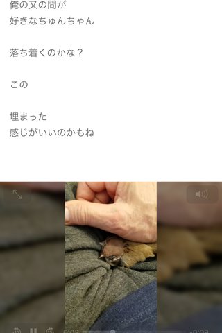モト冬樹、スズメ飼育で都から違法通知届く　弱ったヒナを保護も「諦めるしか…」

