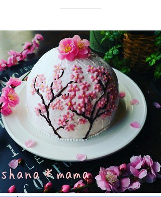 桜井奈々【アンチ】