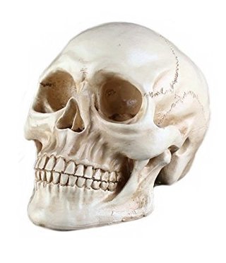 この画像でボケて！家庭あるある写真有！気軽にボケてね 写真4枚